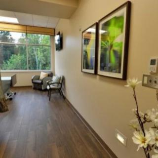 A well-lit office space with comfortable seating and nature-themed artwork, overlooking a lush green view.