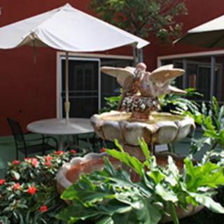 A charming garden patio featuring a decorative fountain surrounded by lush plants and outdoor seating with umbrellas.
