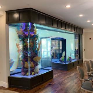 A beautifully designed aquarium with vibrant aquatic life, enhancing the interior space.