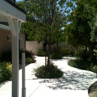 A serene garden pathway surrounded by lush greenery and trees.