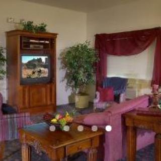 A cozy living room featuring a comfortable sofa, television, lush plants, and decorative furnishings.