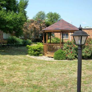 A serene garden featuring a wooden gazebo surrounded by lush greenery and a lamp post.