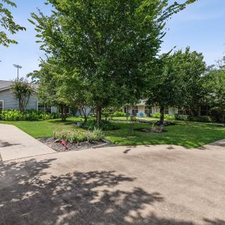 A peaceful residential garden with a well-maintained driveway and lush greenery.