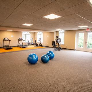 A spacious and well-equipped gym featuring treadmills, exercise bikes, and blue stability balls.