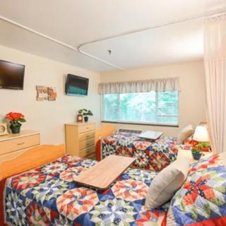 A cozy bedroom with twin beds featuring colorful bedspreads, a window letting in natural light, and amenities like televisions and decor.