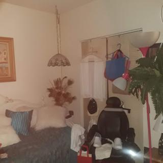 A cozy living room featuring a bed, decorative elements, and a plant.