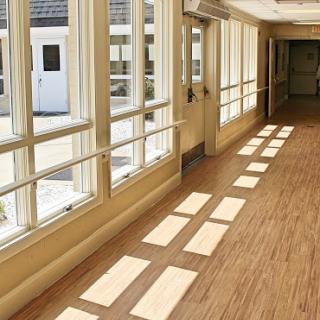 A bright hallway showcasing expansive windows that allow natural light to illuminate the wooden floor.