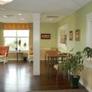 A cozy living room with wooden floors, plants, and ample natural lighting.
