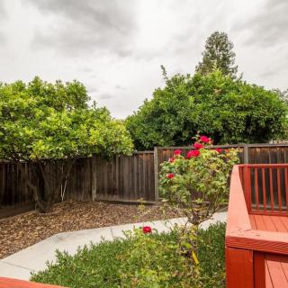 A peaceful backyard garden with trees, a fence, and a red deck.