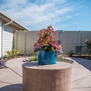 A colorful potted plant placed on a round pedestal in a peaceful garden patio area.