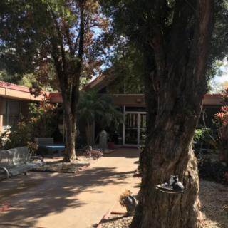 A peaceful courtyard shaded by trees with benches along the sides.