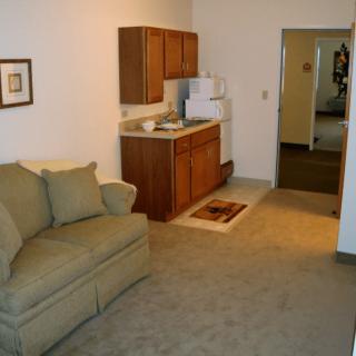 A small apartment living area with a sofa and a kitchenette.