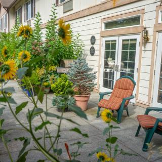 A cozy patio with chairs surrounded by sunflowers and potted plants.