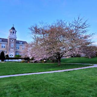 A picturesque scene featuring a historic building surrounded by blooming trees and lush green grass under a clear blue sky.