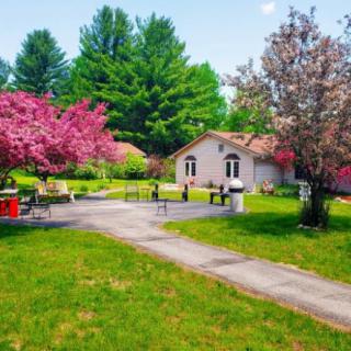 A quaint house surrounded by blooming trees and a lush garden in spring.