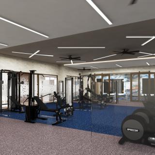 A modern gym equipped with various exercise machines and weights.