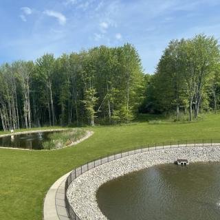 A serene landscape featuring two ponds surrounded by lush greenery and trees under a clear blue sky.