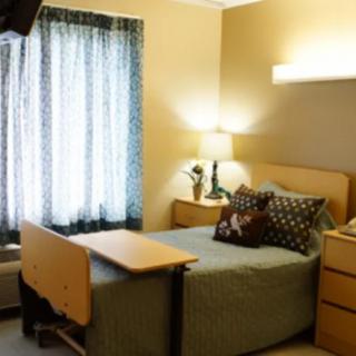 A cozy bedroom with a hospital bed, bedside table, and lamp.