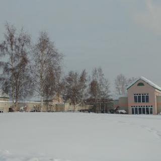A serene winter landscape featuring a house surrounded by snow-covered ground and bare trees.
