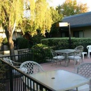 A peaceful patio area with tables and chairs surrounded by greenery and bathed in sunlight.