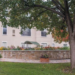 A landscaped garden with colorful flowers next to a building, shaded by a large tree.