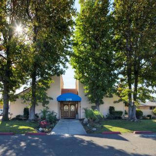A building entrance flanked by large trees with sunlight filtering through.