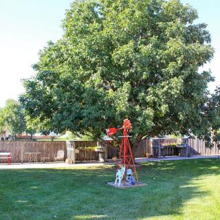 A backyard with a large tree and a decorative windmill on the grass.