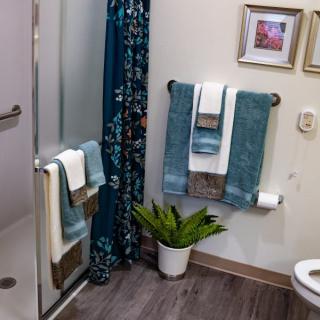 A neatly arranged bathroom with blue and white towels, potted plant, and framed pictures on the wall.