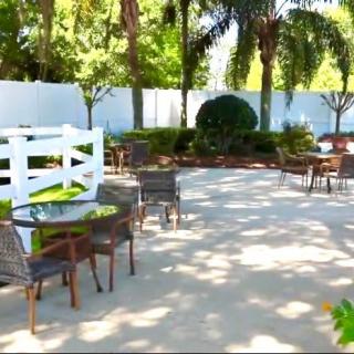 A serene outdoor patio area with tables, chairs, and surrounding trees providing shade.