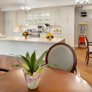 A modern kitchen and dining area with an indoor plant centerpiece on the table.