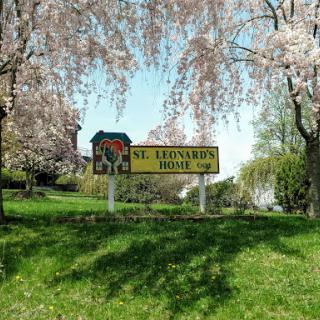 A vibrant spring scene featuring a sign amidst blooming trees.