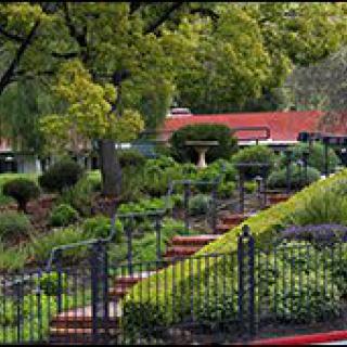 A beautifully landscaped garden featuring lush greenery, shrubs, and a tiered pathway with steps leading up to a building in the background.
