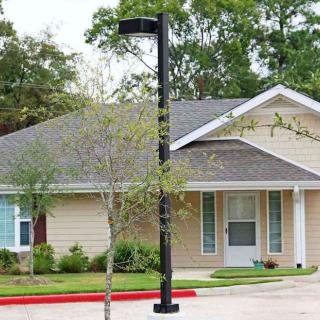 A suburban house with a lamp post in front of the driveway and surrounded by trees.