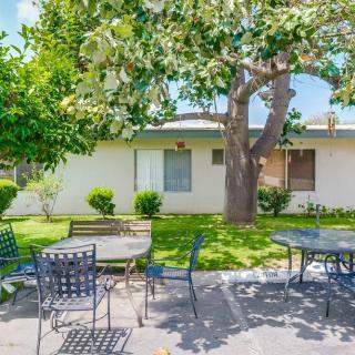 A sunny backyard with outdoor patio furniture under a large tree.