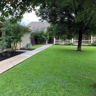 A well-maintained lawn with a tree, sidewalk, and house in the background.