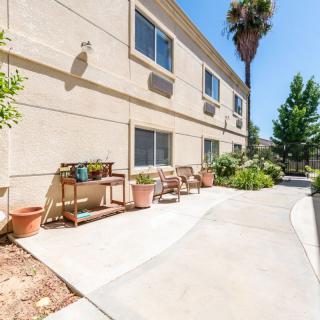 A sunny outdoor area with potted plants and a pathway beside a building.