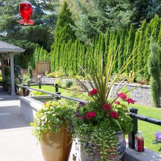 A beautiful garden patio adorned with colorful planters and lush greenery.