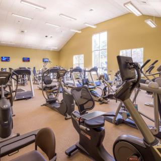 A well-equipped gym with a variety of cardio machines including treadmills and stationary bikes.