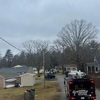 A quiet neighborhood scene under a cloudy sky, with vehicles parked along the road and trees lining the area.