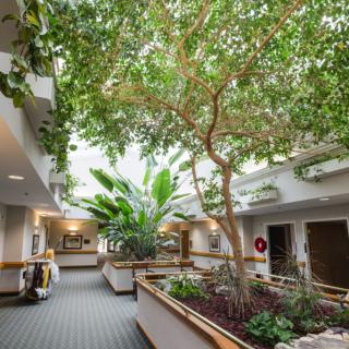 An indoor atrium with lush greenery and abundant natural light.