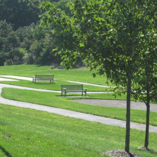 A serene park scene with benches, pathways, and lush greenery.