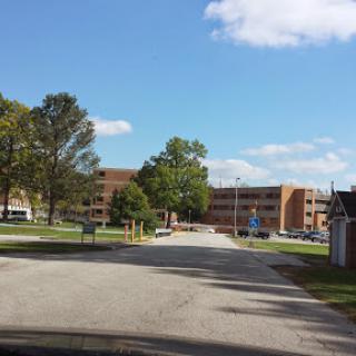 A view of an institutional building surrounded by trees and a clear blue sky.