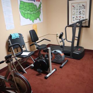 A cozy home gym featuring a treadmill, stationary bike, and fitness equipment.