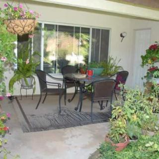 A cozy patio area with outdoor furniture surrounded by lush greenery.