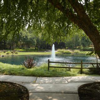 A scenic view of a park with a pond, fountain, and surrounding greenery.