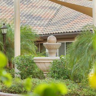 A serene garden scene featuring a central fountain surrounded by lush tropical plants and architectural elements.