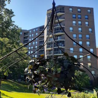 A unique sculpture hangs in a sunny park, overlooking an apartment building.