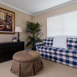 A cozy living room with a plaid couch and brown ottoman, featuring a decorative lamp, artwork, and a large indoor plant.