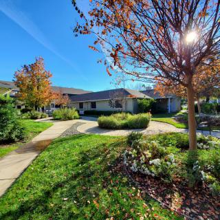 A sunny day in a peaceful garden with pathways and trees surrounding a house.