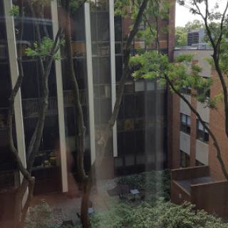 A view of a courtyard featuring green trees and modern architecture.